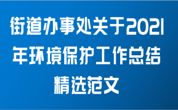 街道办事处关于2021年环境保护工作总结精选范文