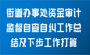 街道办事处关于资金审计监督自查自纠工作总结及下步工作打算范文