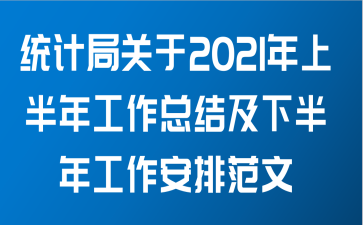 统计局关于2021年上半年工作总结及下半年工作安排范文