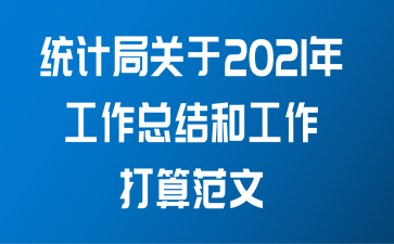 统计局关于2021年工作总结和工作打算范文