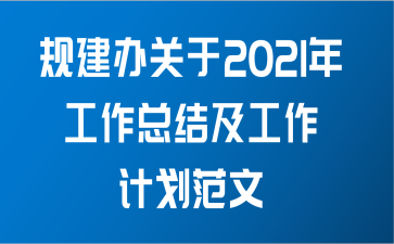 规建办关于2021年工作总结及工作计划范文