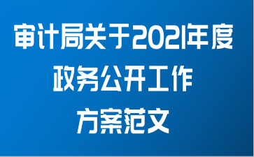 审计局关于2021年度政务公开工作方案范文