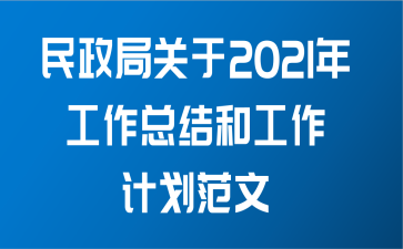 民政局关于2021年工作总结和工作计划范文