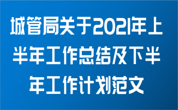 城管局关于2021年上半年工作总结及下半年工作计划范文