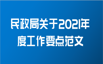 民政局关于2021年度工作要点范文