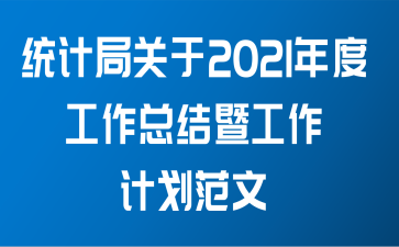 统计局关于2021年度工作总结暨工作计划范文