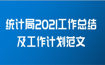 统计局2021工作总结及工作计划范文