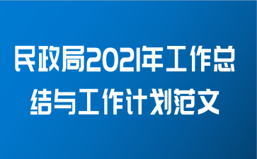 民政局2021年工作总结与工作计划范文