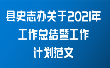 县史志办关于2021年工作总结暨工作计划范文